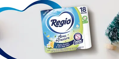 ¿Cómo hacer coronas navideñas reciclando rollos de papel higiénico? - Regio®